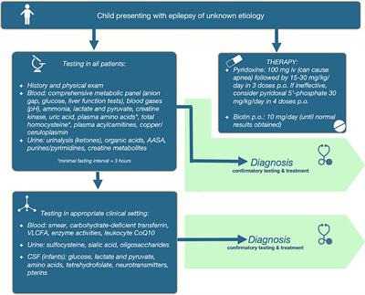 Metabolic Evaluation of Epilepsy: A Diagnostic Algorithm With Focus on Treatable Conditions